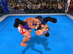 wrestling_king of colosseum ps2.jpg